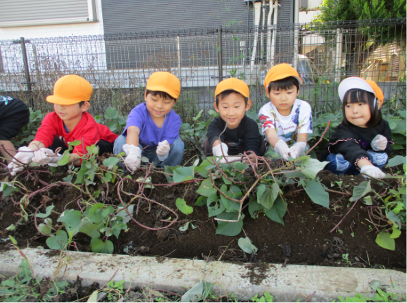 野菜を育てる園児たち