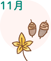 11月